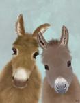 Donkey Duo, Looking at You
