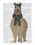 Llama with Purple Scarf, Full Book Print