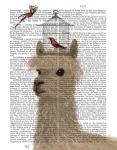 Llama and Birdcage Book Print