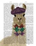 Llama Dapper Book Print