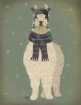 Llama with Purple Scarf, Full