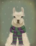 Llama with Purple Scarf, Portrait