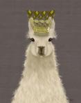 Llama Queen