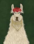 Llama F