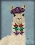 Llama Dapper