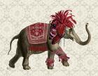 Niraj Elephant, Red