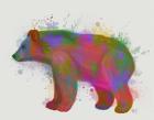 Bear Rainbow Splash 2