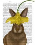 Daffodil Rabbit Book Print