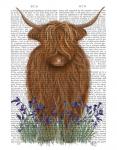 Highland Cow, Bluebell Book Print