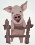 Pig On Fence