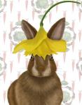 Daffodil Rabbit