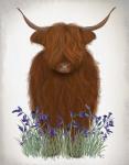 Highland Cow, Bluebell