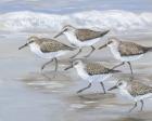 Sandpipers I