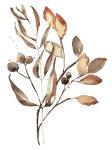 Autumn's Bundle I