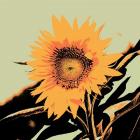 Pop Art Sunflower II