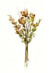 Autumn Roses I