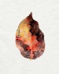 Watercolor Autumn Leaf I