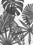 Palm Shadows I