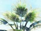 Pleasant Palms II