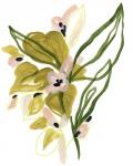 Tropical Cadenza IV