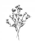 Wild Thistle Bundle I