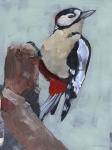 Woodpecker Paintstrokes II