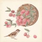 Basket with Fruit I