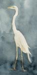 Simple Egret I