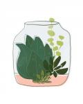 Terrarium Cameo II