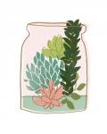 Terrarium Cameo VIII