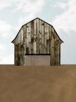 A Barn's Portrait I