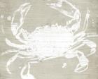 Weathered Crab I