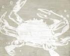 Weathered Crab II