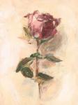 Painterly Rose Study I