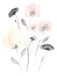 Blush & Black Wildflowers II