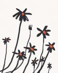 Young Coneflowers I