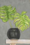 Frond in Vase I