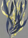 Kelp Embrace I