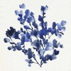 Cobalt Blossom I