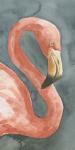 Flamingo Study I
