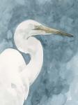 Watercolor Heron Portrait II