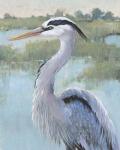 Blue Heron Portrait I