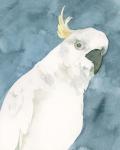 Cockatoo Portrait I