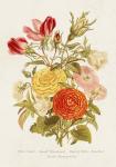 Antique Floral Bouquet I