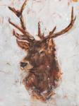 Stag Study I