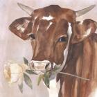 Peony Cow I