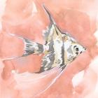 Blush and Ochre Angel Fish I