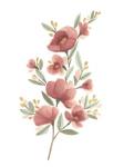 Wildflower Sprig III