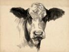 Charcoal Cow II