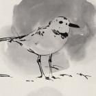 Inky Plover III